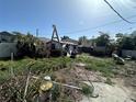 Overgrown backyard with old shed at 1009 S Clark Ave, Tampa, FL 33629