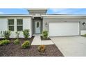 Welcoming front entrance with a light blue door and manicured landscaping at 9955 Patrician Dr, New Port Richey, FL 34655
