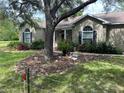 Attractive single-Gathering home featuring mature trees and lush landscaping in the front yard at 10533 Hazel St, Largo, FL 33778