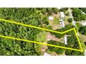 Aerial shot of property with land outline at 26627 Brahma Dr, Wesley Chapel, FL 33544