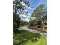 Single-story home with a long driveway and lush green lawn lined by mature trees at 9504 W Cluster Ave, Tampa, FL 33615
