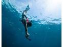 Person snorkeling underwater at 13271 Gulf Bay Ln, Spring Hill, FL 34609