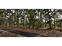 Enjoy a walk along the serene path surrounded by a lush tree line in the community at 13197 Gulf Bay Ln, Spring Hill, FL 34609