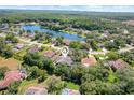 Stunning aerial view of a lakeside community with lush green trees and beautiful homes in a serene setting at 4318 River Birch Dr, Spring Hill, FL 34607