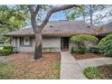 Inviting front entrance with a concrete walkway and lush landscaping around the property at 1001 Old Mill Pond Rd, Palm Harbor, FL 34683