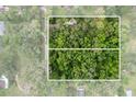 Aerial view of the expansive wooded lot, providing privacy and natural beauty at 8309 Oakgren Rd, Brooksville, FL 34601