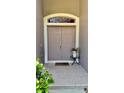 Inviting front entry featuring a double door, arched transom window, and decorative potted plant at 1138 Lumsden Trace Cir, Valrico, FL 33594