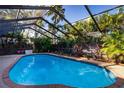 Kidney-shaped pool with a screened enclosure and tropical landscaping at 4911 W Juno St, Tampa, FL 33629