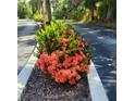 Lush landscaping featuring vibrant ixora plants along a community walkway at 22481 Westchester Blvd # A19, Punta Gorda, FL 33980
