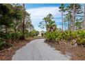 Long driveway approaching a serene home, surrounded by lush, natural Florida foliage at 233 Snyder Dr, Venice, FL 34292