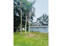 A view of the side of the home with a healthy green lawn and mature palm trees at 4934 Avery Rd, New Port Richey, FL 34652
