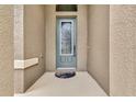 Gray front door with glass panels and a patterned doormat at 1005 Sonesta Ave, Brandon, FL 33511