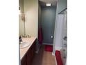 Traditional bathroom features a vanity, mirror, and shower with curtain at 10453 Westpark Preserve Blvd, Tampa, FL 33625