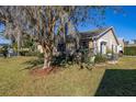 Side view of the house showing the backyard and a large tree at 5846 Greenbriar Ct, Zephyrhills, FL 33542
