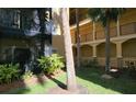 Private condo courtyard with tropical landscaping and a screened patio at 4333 Bayside Village Dr # 314, Tampa, FL 33615