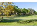 Expansive green golf course view, framed by trees and a clear sky at 407 Belvedere Oval, Temple Terrace, FL 33617