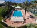 Community pool with lounge chairs, umbrellas, and palm trees at 9157 Players Dr, Weeki Wachee, FL 34613