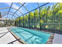 Inviting screened-in pool perfect for relaxation and entertaining, surrounded by lush greenery for privacy at 2640 Suncoast Lakes Blvd, Punta Gorda, FL 33980