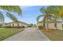 Long driveway leading to a spacious home, enhanced by lush landscaping and mature palm trees at 18011 Prairie Wolf Gln, Parrish, FL 34219