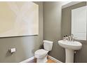A stylish half bathroom with pedestal sink, modern fixtures, gray walls, and decorative artwork at 5307 Wolf Creek Dr, Apollo Beach, FL 33572