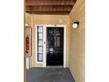 Front door of unit number 103 with a black door, a side light, and beige siding at 8728 Mallard Reserve Dr # 103, Tampa, FL 33614