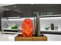 Modern kitchen with dark cabinetry and quartz countertops at 4304 W Sevilla St, Tampa, FL 33629