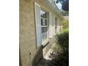 Side view of the house with white shutters at 1404 Midoneck Ct, Valrico, FL 33596