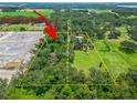 Aerial view of property showing expansive lot size at 3003 N Wilder Rd, Plant City, FL 33563