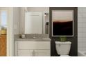 Modern bathroom features a single vanity, toilet, and shower/tub combo at 10439 Lavender Aster Trl, San Antonio, FL 33576
