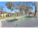 Backyard pool with spa, surrounded by green grass and privacy fence, perfect for outdoor relaxation at 4005 W San Rafael St, Tampa, FL 33629