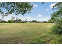 Scenic view of a lush green golf course with houses in the background at 34841 Double Eagle Ct, Zephyrhills, FL 33541
