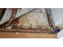 Close up of water damaged subfloor under carpet at 4909 Larkenheath Dr, Spring Hill, FL 34609