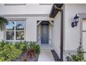 House exterior, showcasing a gray front door and walkway at 12918 Brookside Moss Dr, Riverview, FL 33579