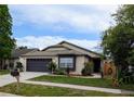 Beautiful home with landscaped front yard, featuring a charming exterior and well-manicured lawn at 1442 Tiverton Dr, Brandon, FL 33511