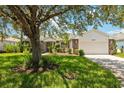 House exterior with a large tree and manicured lawn at 10637 Collar Dr, San Antonio, FL 33576