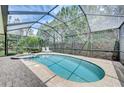 Relaxing kidney-shaped pool with a covered patio and lounge chairs at 6619 Current Dr, Apollo Beach, FL 33572