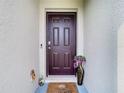 Front entry with dark brown door and potted plants at 13292 Golden Lime Ave, Spring Hill, FL 34609