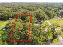 Vacant lot perfect for building, surrounded by established homes and trees at 7207 Westinghouse Ave, Tampa, FL 33619