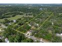 Aerial view of property highlighting its size and wooded surroundings at 7813 Valrie Ln, Riverview, FL 33569
