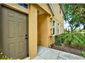 Townhome entrance with a brown door and walkway at 9107 Moonlit Meadows Loop, Riverview, FL 33578