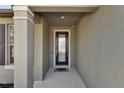 Front entry with a modern door and tiled flooring at 16321 Treasure Point Dr, Wimauma, FL 33598