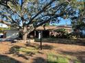 Ranch style home with large tree and spacious yard at 5002 W Poe Ave, Tampa, FL 33629