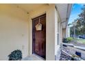 Front door with decorative basket, potted plant, and stone accents at 10957 Keys Gate Dr, Riverview, FL 33579