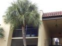 Exterior view of a condo building with palm trees and balconies at 5306 Santa Rosa Ct # 342, Tampa, FL 33609