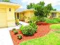 Landscaped front yard with red mulch and various plants at 1306 Idlewood Dr # 53, Sun City Center, FL 33573