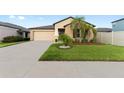 Tan house with a two-car garage and lush landscaping at 10005 Caraway Spice Ave, Riverview, FL 33578