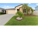 Tan house with a two-car garage and palm trees at 10005 Caraway Spice Ave, Riverview, FL 33578