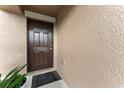 Dark brown front door with a small welcome mat at 10005 Caraway Spice Ave, Riverview, FL 33578