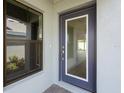 Modern front door with glass panel and sleek hardware at 12398 Oak Hill Way, Parrish, FL 34219