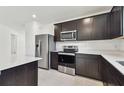 Modern kitchen with dark cabinets, stainless steel appliances, and a large countertop at 12744 Wanderlust Pl, Parrish, FL 34219
